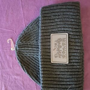 Coach Blue Knit Hat